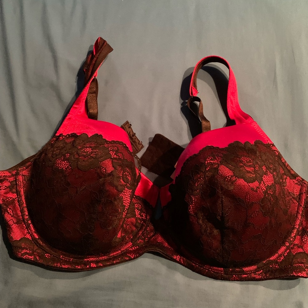 Fashion bug bra